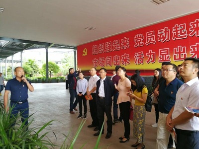 打好三張紅色牌，提升網絡文化經營核心競爭力